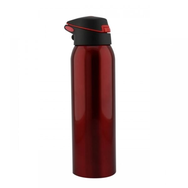 Termo  Acero PRO 6 - Image 2