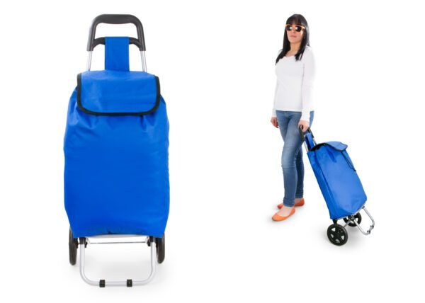Carrito De Mercado - Image 8